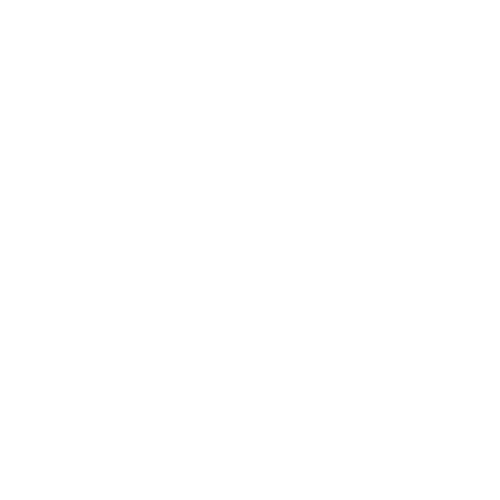The Soulure
